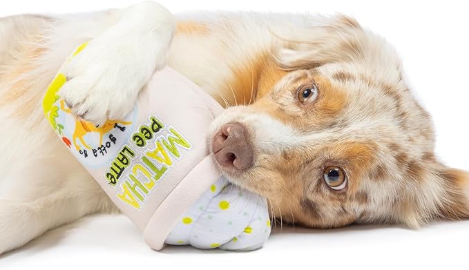 Huxley & Kent for Dogs - Matcha Pee Latte (Large) - Funny Durable Power Plush Dog Toy with Squeaker - Dog Gift
