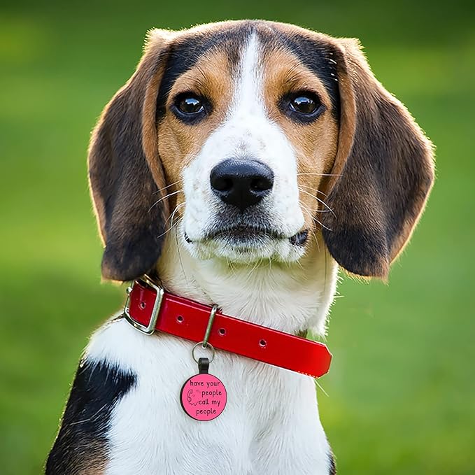 MYLUCKYTAG QR Code Silicone Pet ID Tag for Dogs and Cats - Online Profile, Location Alert Email, Digital Tag, Quiet and Durable Collar Tag, Engraved