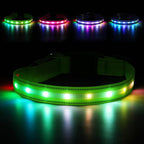 LED Dog Collar, Light Up Dog Collar, USB Rechargeable - Brightest Dog Lights for Night Walking, 6 Light Modes, Adjustable for Dog Safety(Small, Neon Green)
