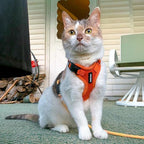 Voyager Escape-Proof Step-in Lock Cat Harness & 5ft Neoprene-Handle Leash Set All-Weather Mesh with Reflective Stitching for Small to Large Cats by Best Pet Supplies, Orange, XS