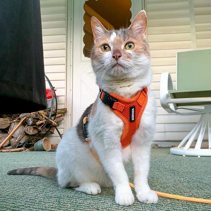 Voyager Escape-Proof Step-in Lock Cat Harness & 5ft Neoprene-Handle Leash Set All-Weather Mesh with Reflective Stitching for Small to Large Cats by Best Pet Supplies, Orange, XS