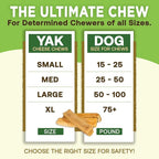 EcoKind Premium Gold Yak Cheese Himalayan Dog Chews, Dog Treats Large Breed, All Natural, High Protein, for Aggressive Chewers, Large - 20+ Chews (5 lb)