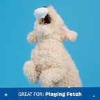 Barkbox Dog Toy 2 in 1 Interactive, Plush Exterior Material & Squeaker, Tearable Dog Toy with Squeaky Ball Inside, Ideal for Toy Destroyers - Andi's Dumpling, Small