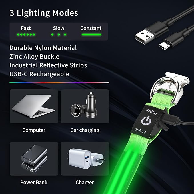 LED Dog Collar with Metal Buckle - USB Rechargeable Glow Collar for Dogs, Waterproof Light Up Dog Collar w/Reflective Strips - Adjustable Night Safety Collars by PetIsay(Green, Small)