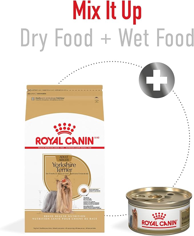 Royal Canin Breed Health Nutrition Yorkshire Terrier Adult Dry Dog Food, 10 lb Bag
