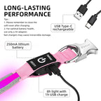 PetIsay LED Dog Collar Metal Buckle - Heavy Duty Light up Collars - Rechargeable IP68 Waterproof - Lighted Dog Collar for Night Walking, Hiking, Camping (Large, Pink)