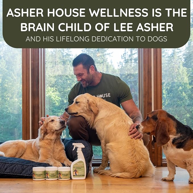 Asher House Wellness Probiotics Digestive Chew for Dogs - Dog Probiotic, Digestive Enzymes for Gut Health & Digestion - Pet Chews for Diarrhea, Upset Stomach, Allergies, Itchy Skin Relief, 120 Chews