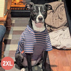 KYEESE 3Pack Dog Sweater Soft Dog Sweaters for Medium Dogs Girl Pullover Dogs Sweatshirt Lightweight Pet Fleece Sweater Comfy Pets Sweaters Pets Clothes with Sleeves Stretchy Pet Coat for Cold Weather