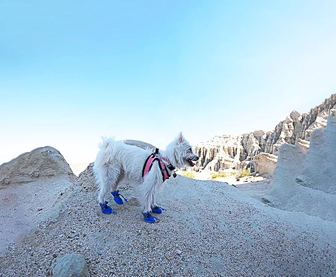 YAODHAOD Dog Shoes for Hot Pavement, Anti-Slip Sole Dog Boots & Paw Protector for Summer, Reflective Straps Dog Booties for Small Medium Dogs, Indoor Use 4PCS (Blue, Size: 7)