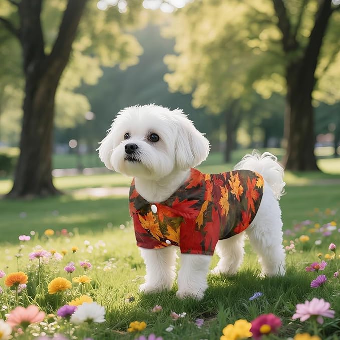 Red Maple Leaf Dog Shirts for Medium Dogs Girl Cute Puppy Collared Polo T-Shirt Soft Breathable Pet Fall Outfits for Puppy Cat Pet Doggy Outfits for Birthday