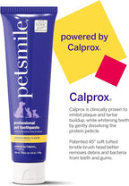 Petsmile Professional Pet Teeth Brushing Kit for Cats & Dogs- Only VOHC Accepted Toothpaste & Patented Toothbrush - Proven to Control Plaque & Tartar Calprox Formula (London Broil, 4.2 Oz)