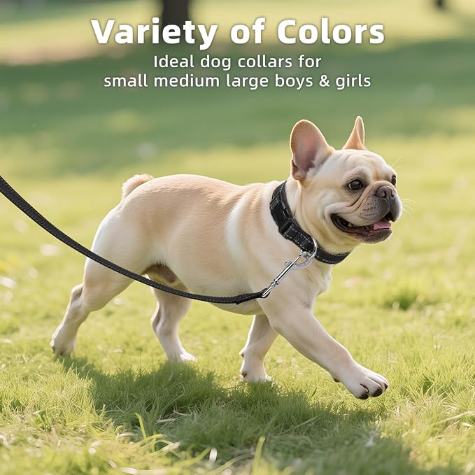 Reflective Dog Collar, Soft Neoprene Padded Nylon Pet Collar with Quick-Release Buckle, No-Choke Design Adjustable for Small Dogs,Black,S