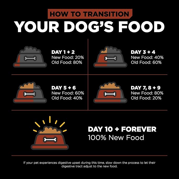 Go! Solutions Skin + Coat Care, Dry Dog Food, Large Breed Adult Salmon Recipe with Grains, 12 lb Bag