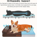 Orthopedic Dog Beds Large Sized Dog, 3 Inch Memory Foam Pet Bed for Medium and Large Dogs, Washable Removable Cover, Nonskid Bottom, Waterproof, 36x27 Inches L Brown Grey
