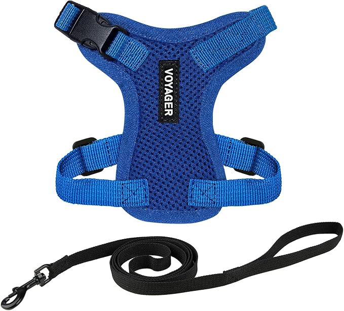 Voyager Escape-Proof Step-in Lock Cat Harness & 5ft Neoprene-Handle Leash Set All-Weather Mesh with Reflective Stitching for Small to Large Cats by Best Pet Supplies, Royal Blue, S