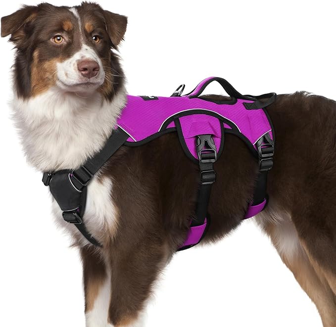 rabbitgoo Escape Proof Dog Harness, Soft Padded Full Body Pet Harness, Reflective Adjustable No Pull Vest with Lift Handle and Leash Clip for Large Dogs Walking Hiking Training, M, Purple