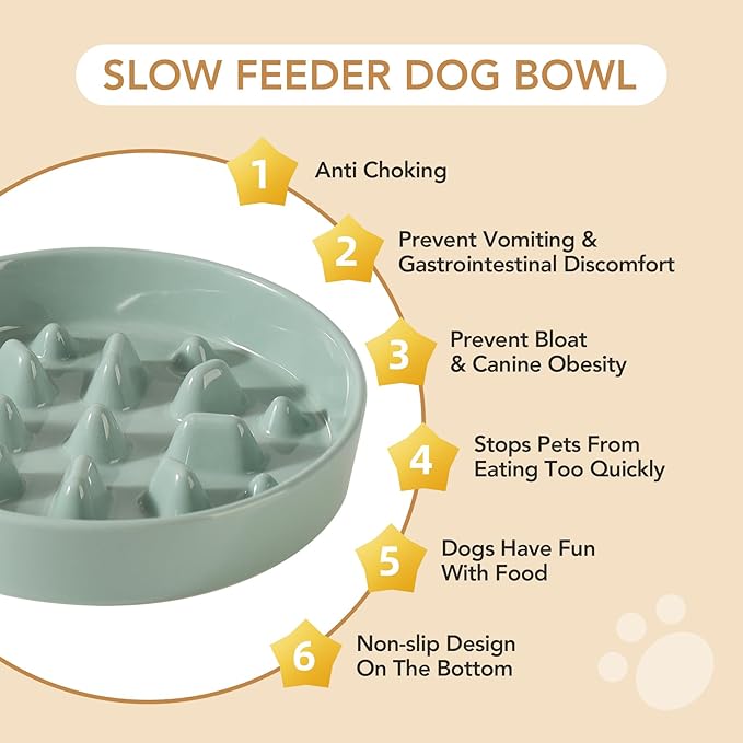 Ceramic 8.2 inch Dog Bowl Slow Feeder, Slow Pet Food Dish for Medium and Large Dog, Stop Bloat, Preventing Choking(Single Bowl, Light Green)