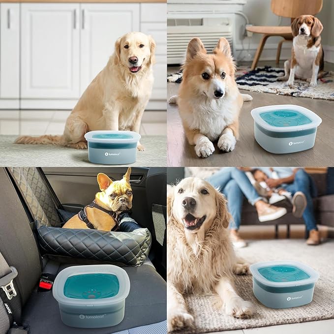 LumoLeaf No Spill Dog Water Bowl, 70oz Slow Feeder for Messy Drinkers, Keeps Long-Haired Dogs’ Mouth Fur Dry, Drip-Free Splash-Proof Design