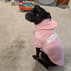 BINGPET Security Dog Hoodies Puppy Sweater Cold Weather Dog Coats Soft Brushed Fleece Pet Clothes Hooded Sweatshirt for Dog Cat