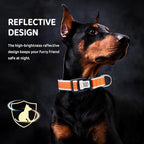Personalized Dog Collar with QR Code tag for pet ID, Reflective Safety Collar, Suitable for Small, Medium, and Large Dogs (Orange, Large)