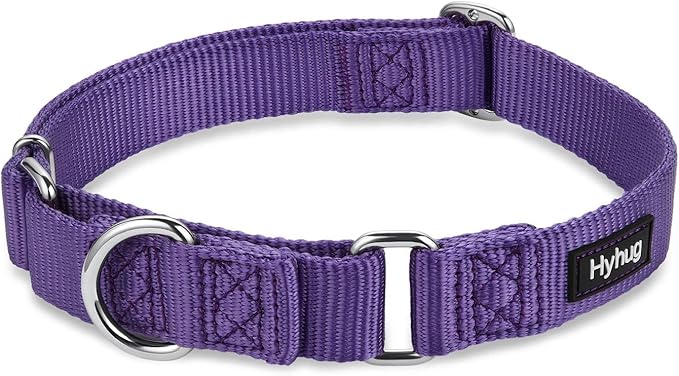 Hyhug Martingale Collar for Dogs Extra Large Purple |Escape - Proof Heavy Duty Nylon Durable No Pull, Ideal for Training & Daily Walks