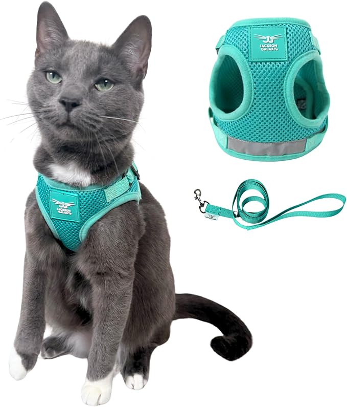 Travel Cat x Jackson Galaxy Harness and Leash Set - Adjustable Fit Mesh Cat Harness with Nylon Leash - Comfort, Escape Proof Harness for Cats, Kitten for Outdoor Walking, Hiking (Large)