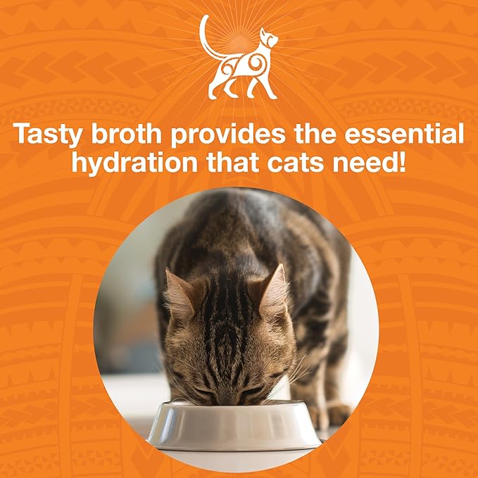 KOHA Pure Shreds Chicken Entrée for Cats, High Protein Wet Cat Food, 5.5oz Cans (Pack of 12)