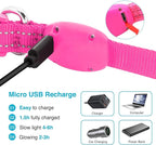LED Dog Collar - Light Up, Adjustable, Rechargeable, Waterproof - Night Walking, Glow in Dark - Small, Pink