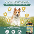 YOTANGO Natural Flea & Tick Support Chews for Cats & Dogs, 2-Pack Bundle for Natural Flea Prevention & Skin Health, 400 Chews Total, Safe & Effective, Plant-Based Formula for All Breeds
