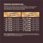 Wellness CORE+ Dry Dog Food with Wholesome Grains, Natural Ingredients, Made in USA with Real Freeze-Dried Meat (Adult, Turkey, 4 lbs) (Pack of 2)