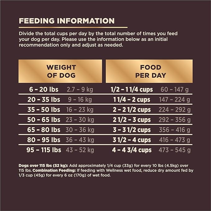 Wellness CORE+ Dry Dog Food with Wholesome Grains, Natural Ingredients, Made in USA with Real Freeze-Dried Meat (Adult, Turkey, 4 lbs) (Pack of 2)