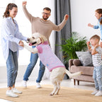 Pet Clothing,Turtleneck Dog Sweater,Sweaters for Dogs Boys and Girls,Pullover Dog Sweaters,Pet Knitted Clothes,Fit for Different Kinds Dogs,for Spring,Autumn and Winter(Pink 2XL)