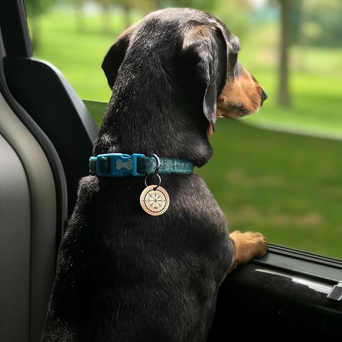 MYLUCKYTAG QR Code Stainless Steel Dog ID Tag, Personalized, Online Pet Profile, Pet Location Alerts