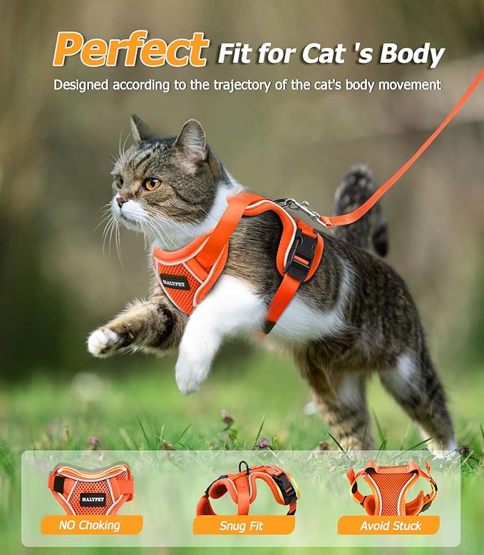 Halypet Cat Harness and Leash Set [MAX Safety 4th-Gen Upgrade] Escape Proof Adjustable Cat Leash Comfortable Soft Vest Easy to Wear Kitten Harness with Reflective Strip for Cats Walking, M Orange