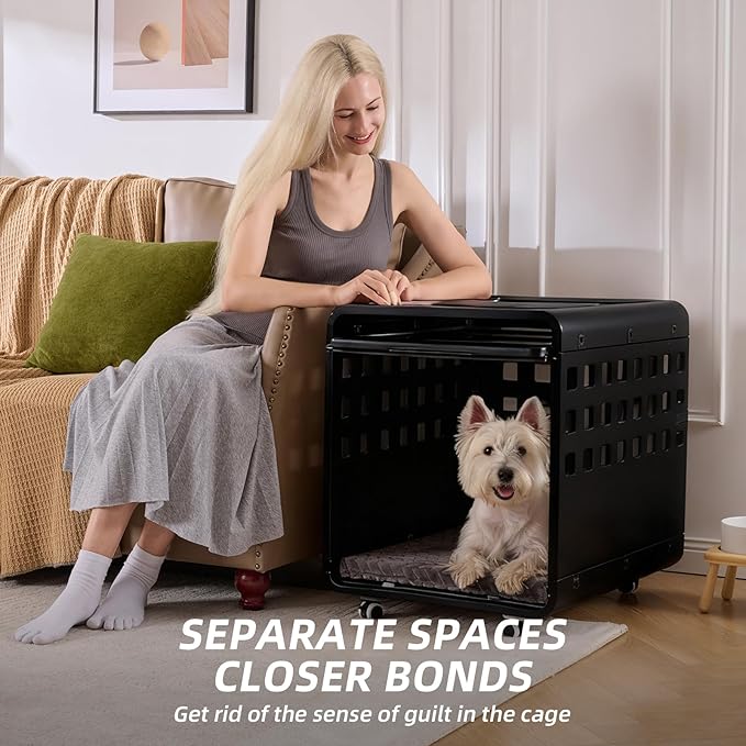 Acrylic Transparent Dog Box, Durable Dog Bed with Movable Panel and Modular Design - Safe, Fashionable and Convenient (Black, Semi-Transparent(26.2" L x 20" W x 23.4" H))