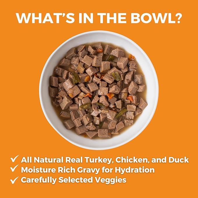 KOHA Big Easy Feast Stew for Dogs with Turkey, Chicken, and Duck, High Protein Wet Dog Food, 12.7oz Cans (Case of 12)