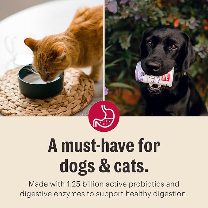 The Honest Kitchen Human Grade Instant Goat's Milk with Probiotics for Dogs and Cats, 5.2 Ounces