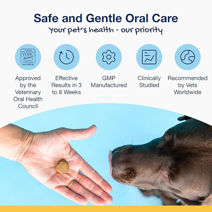 ProDen PlaqueOff Soft Chews with Natural Kelp - for Large & Giant Breed Dogs - Supports Normal, Healthy Teeth, Gums, and Breath Odor in Dogs - 45 Soft Chews