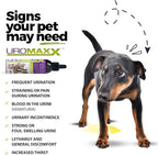 Cat & Dog Urinary Tract Treatment, Bladder & Kidney Support for Dogs and Cats, Powerful Yet Gentle Pet Care, with Liquid Cranberry & Glucosamine, Salmon Flavor, 6 oz Bottle, 1 Pack