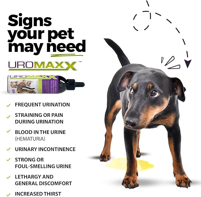 Cat & Dog Urinary Tract Treatment, Bladder & Kidney Support for Dogs and Cats, Powerful Yet Gentle Pet Care, with Liquid Cranberry & Glucosamine, Salmon Flavor, 6 oz Bottle, 1 Pack