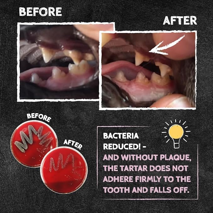 QCHEFS Dental Flakes for Cats – Two Month Supply* - Food Topper - After Meal Licking Treat, Oral Health Snack with Amino Acids.