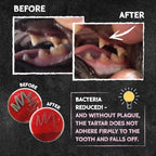 QCHEFS Dental Flakes for Cats – Two Month Supply* - Food Topper - After Meal Licking Treat, Oral Health Snack with Amino Acids.