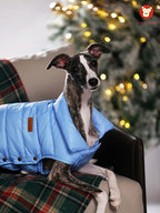 SPACE LION Puffer Jacket, Down Winter Coat, Waterproof, Windproof, Lightweight Jacket, Adjustable Fit for Medium Dogs(Black,L)