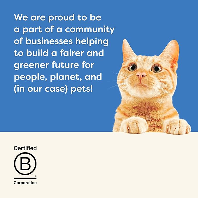 Applaws Natural Cat Treats, Grain-Free, High Protein, Limited Ingredients, No Artificial Additives or Fillers, Healthy & Nutritious Snack for Cats, Crunchy Tuna Treats (12 x 2.0oz Bags)