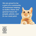 Applaws Natural Cat Treats, Grain-Free, High Protein, Limited Ingredients, No Artificial Additives or Fillers, Healthy & Nutritious Snack for Cats, Crunchy Tuna Treats (12 x 2.0oz Bags)