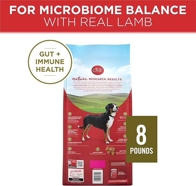 Purina ONE Dry Dog Food Lamb and Rice Formula - 8 lb. Bag