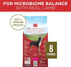 Purina ONE Dry Dog Food Lamb and Rice Formula - 8 lb. Bag