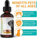 RestoraPet 4-Pack Dog & Cat Beef Liquid Multivitamin | Dog Arthritis Pain Relief | Hip & Joint Vitamins for Dogs - Anti Inflammatory Supplement for Dogs & Cats | Organic & Non-GMO, Vet Approved
