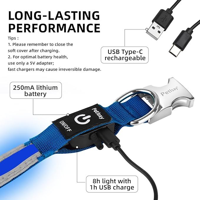 PetIsay LED Dog Collar Metal Buckle - Heavy Duty Light up Collars - Rechargeable IP68 Waterproof - Lighted Dog Collar for Night Walking, Hiking, Camping (Medium, Blue)