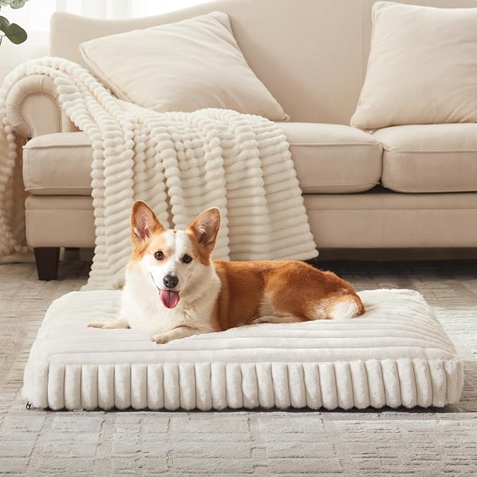 Dog Beds for Small Dogs, Flat Pet Beds with Removable Washable Cover, Pet Mat Cute Dog Crate Bed Thick Shredded Chopped Crate Foam & Anti Slip Bottom for Indoor, 23"x18"x3" Cream